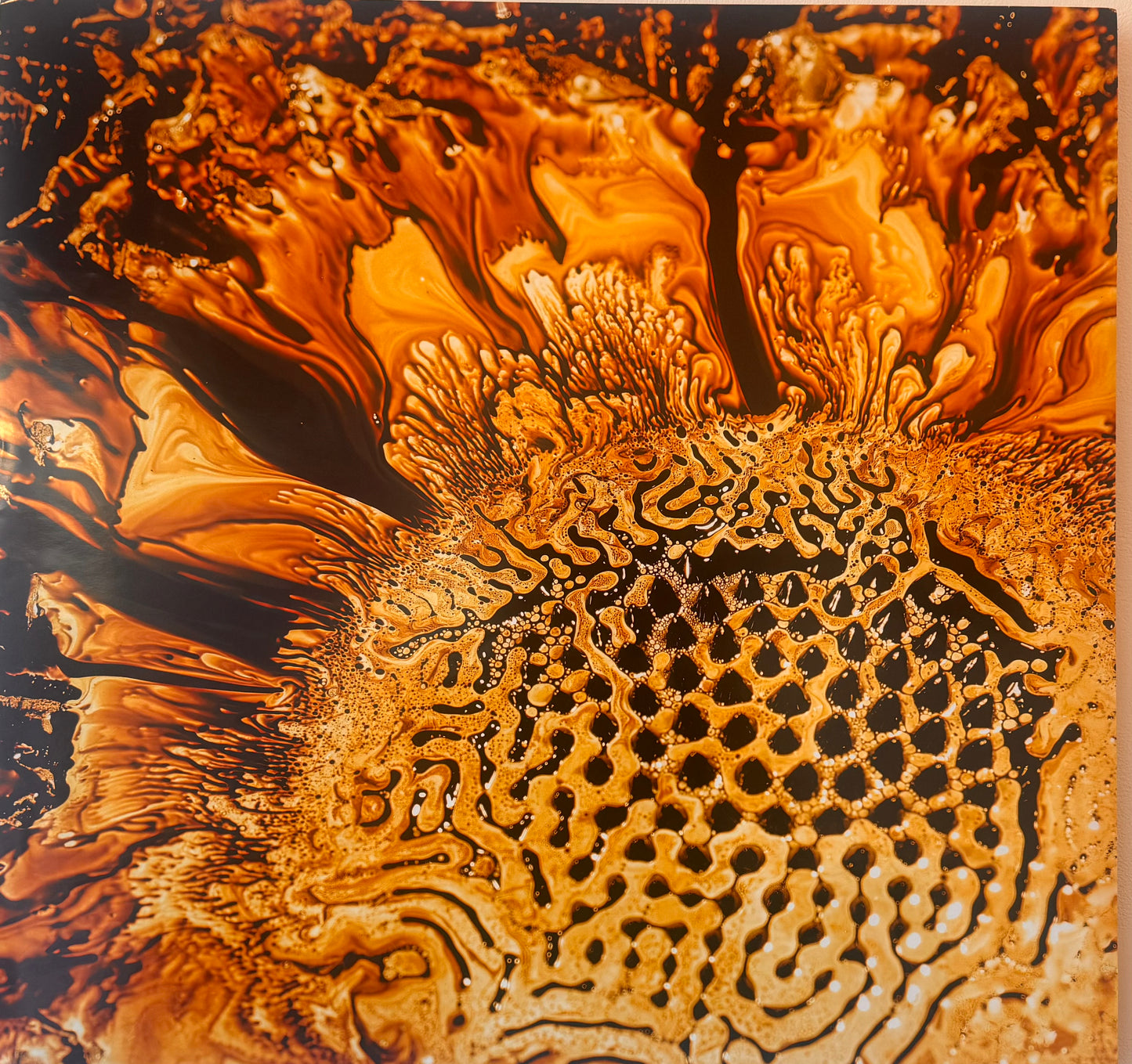 Sunflower by Lori Pond