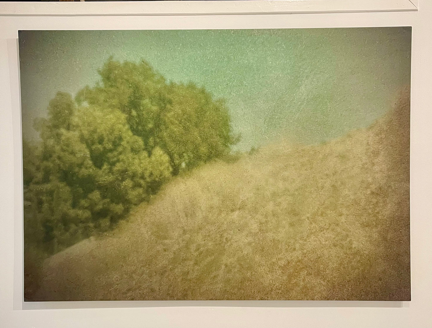'Half a Million Miles from Home' by Thomas Pathe
