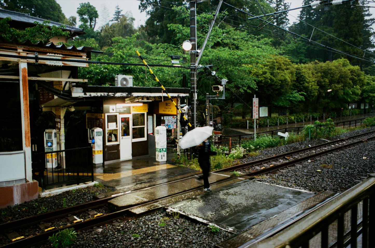 "Running from the rain" Photograph by Justus Milhon