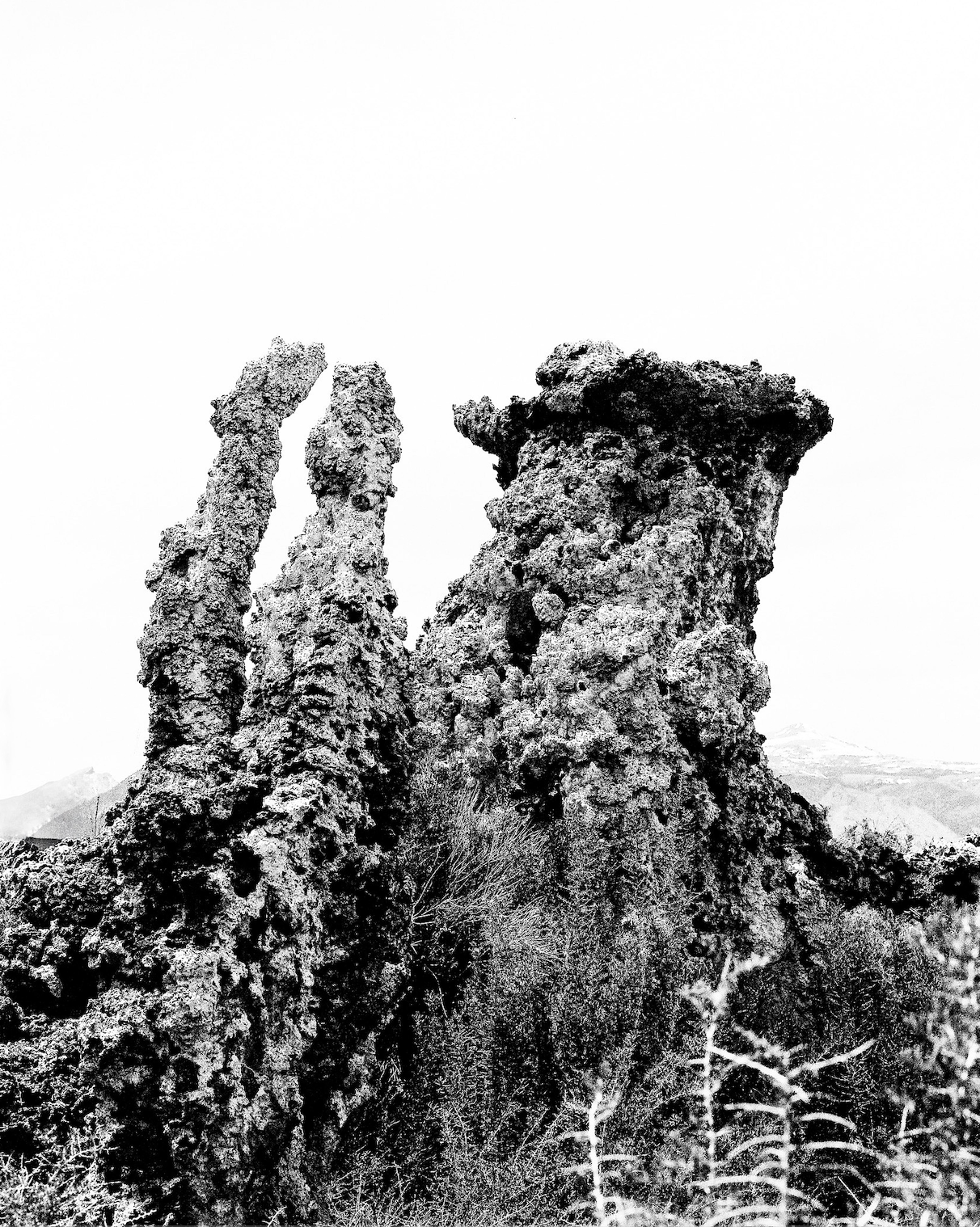 "Mono Tufa" Photograph by Justus Milhon