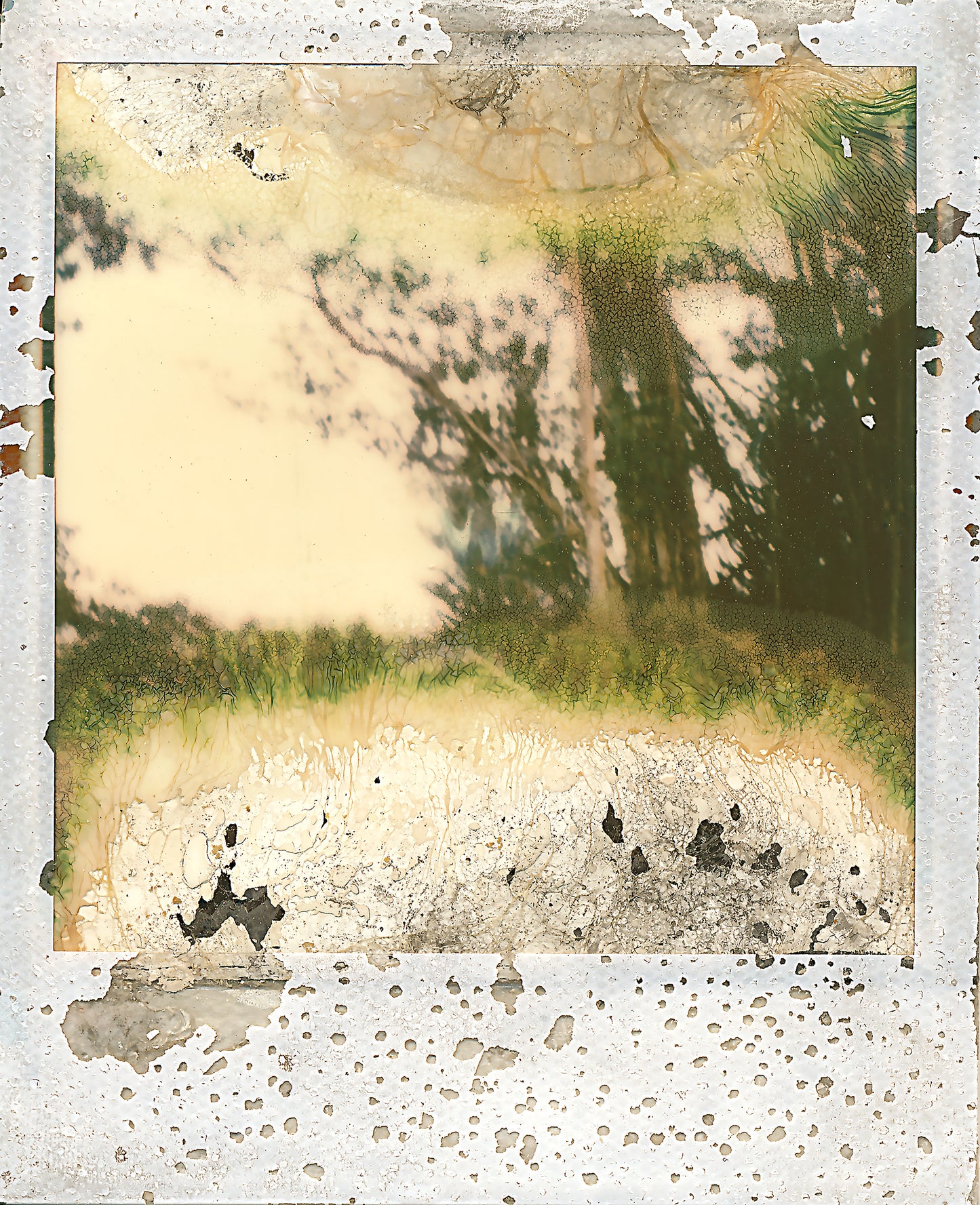 NOT IN FOCUS Student Fee SUBMISSION FEE