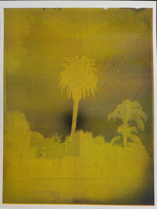 "Untitled (Yellow Palm), 2025 Risograph Print by Andrew K. Thompson