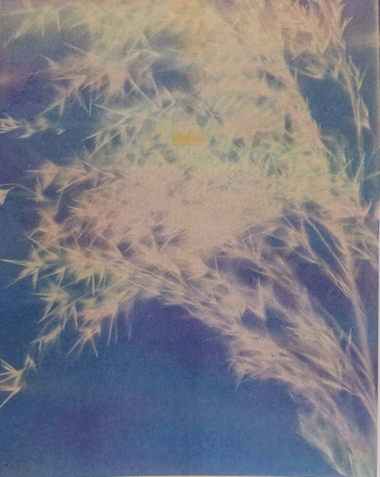 "Untitled (Blue Lumen), 2025 Risograph Print by Andrew K. Thompson