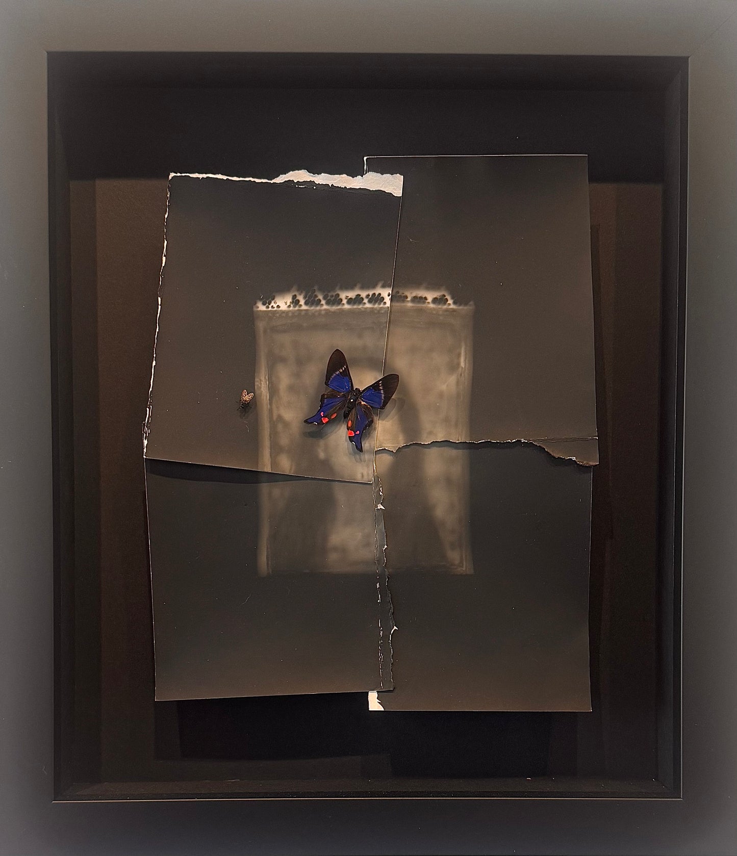 Dreaming Awake by Catherine Ruby Just