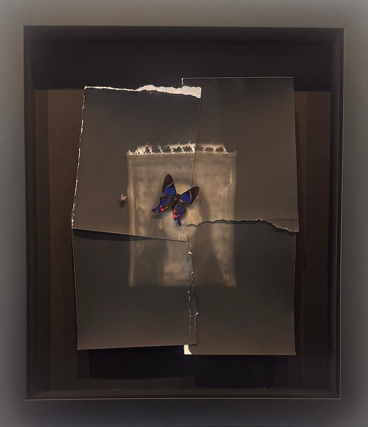 Dreaming Awake by Catherine Ruby Just