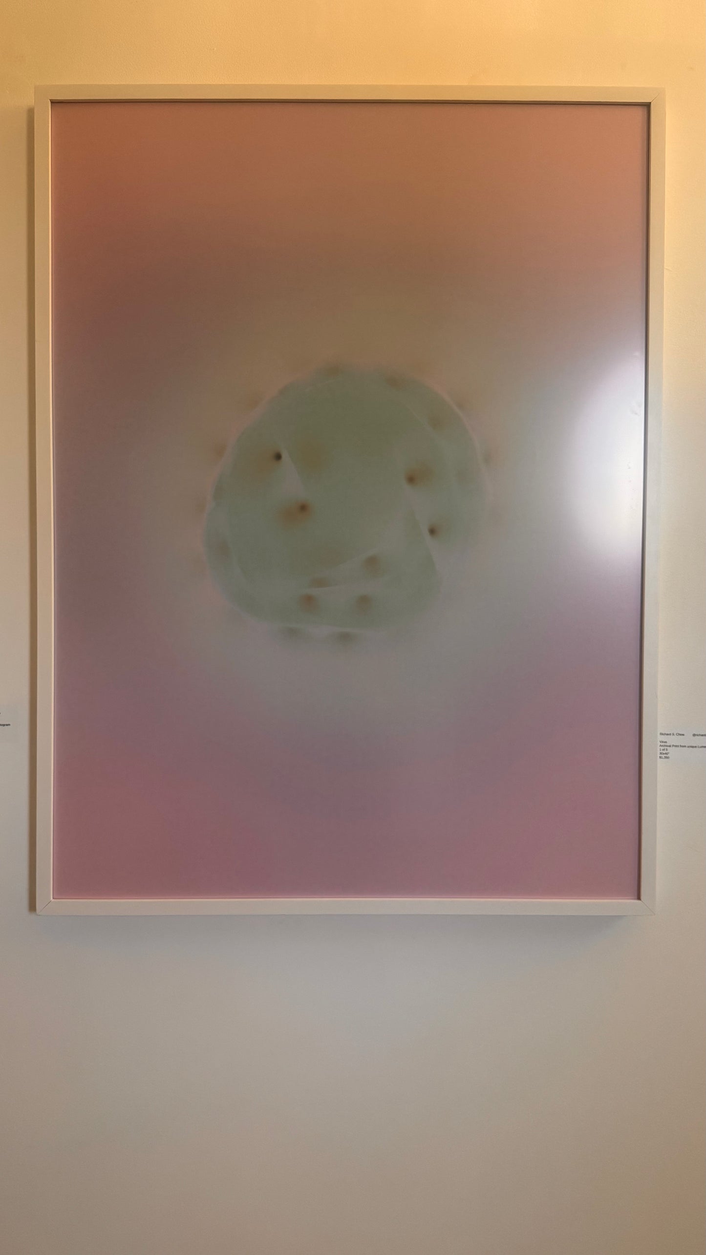 Virus by Richard S. Chow