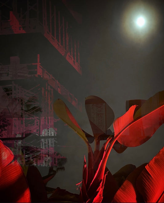 Red Among the Ruins #5  by Karen Numme