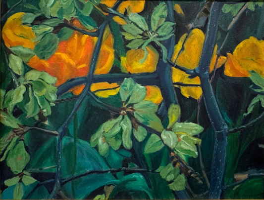 Orange tulips by Cynci Cutter