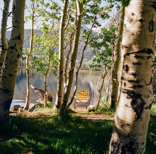 "Aspen Breeze" by Justus Milhon