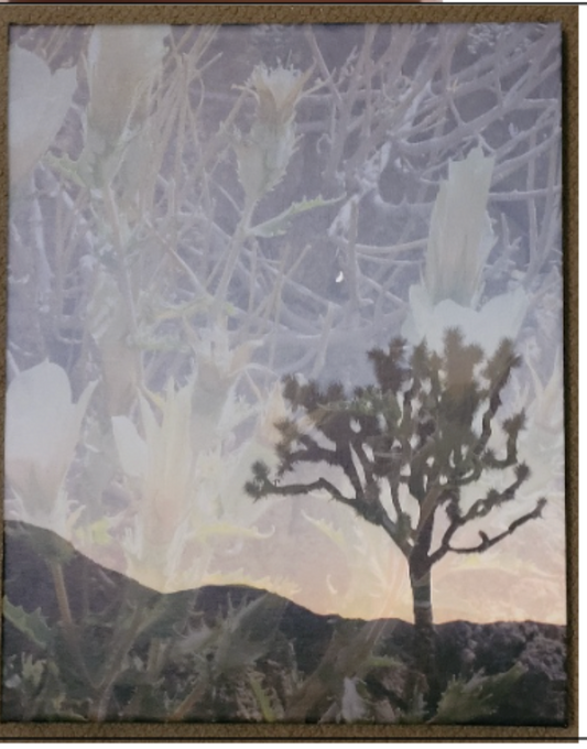 Ghostly presence - Cindy Rinne
