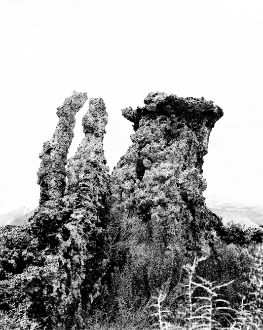 "Mono Tufa" Photograph by Justus Milhon