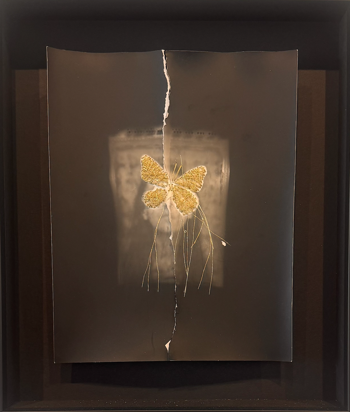 Enlightenment by Catherine Ruby Just