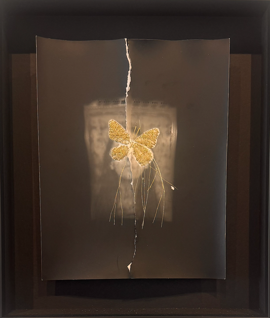 Enlightenment by Catherine Ruby Just