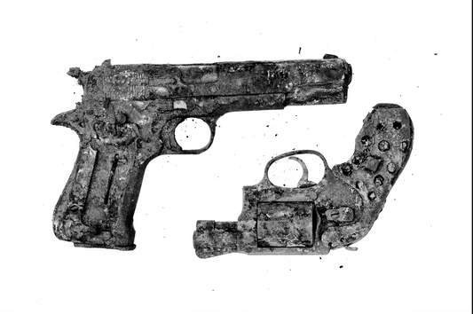 2 guns - Karen Walker Chamberlin