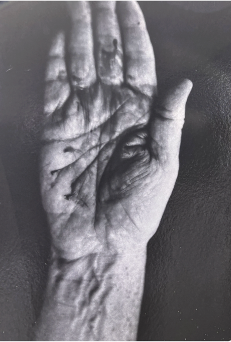 Lifeline - Karen Walker Chamberlin