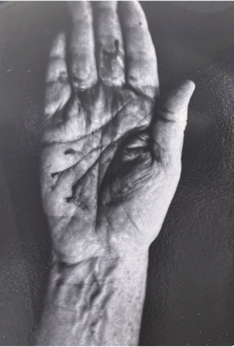 Lifeline - Karen Walker Chamberlin