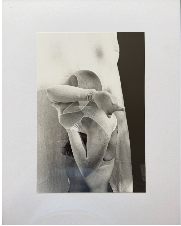 Image 8 Amelia Franklin