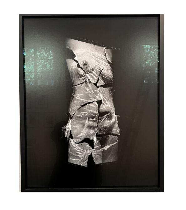 Medical Violence 1 - Karen Walker Chamberlin