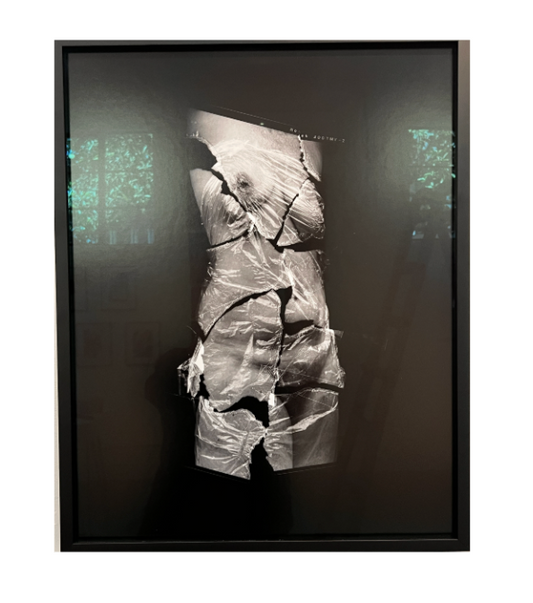Medical Violence 1 - Karen Walker Chamberlin