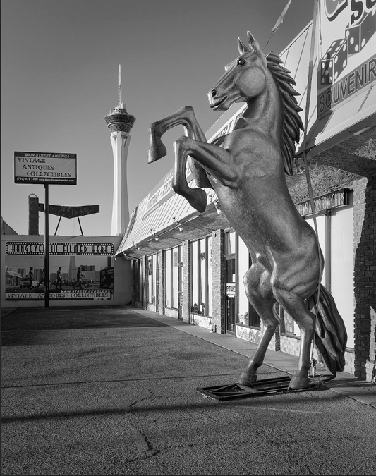 STRATOSPHERE Rearing Horse.2015  by Greg Rook 12  in 100