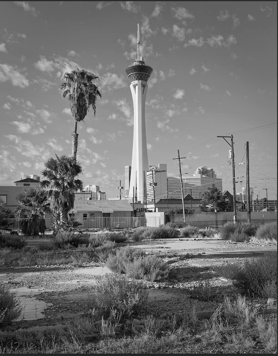 Deserted Lot 2017 by Greg Rook 13 of 100